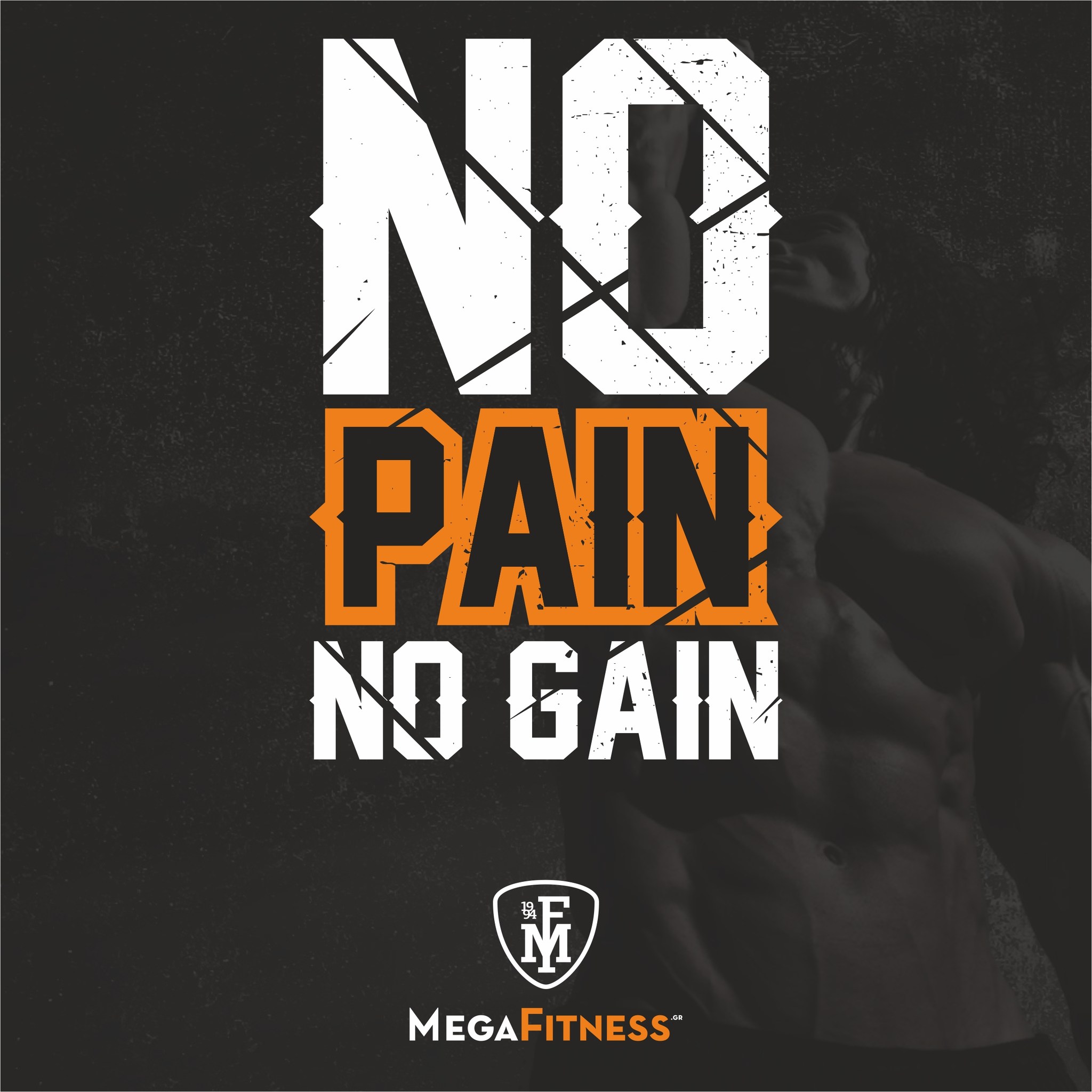 megafitness